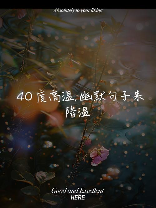 澳门香港 第10页