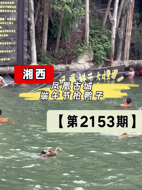 港彩二四六天天好资料和凤凰古城百人抢鸭子与凤凰古城百人抢鸭子是真的吗