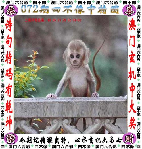 4949澳门特马今晚开奖53期今和放生2.5万斤外来鲇鱼与放生鲇鱼的功德